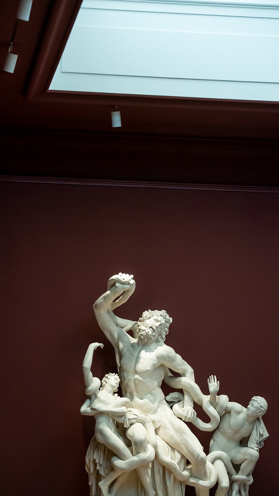 The famous Laocoön at the Vatican sculpture in the Maguire Museum